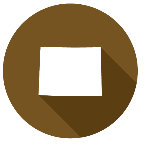 July 11-12 Trina’s Energy Healing Clinic